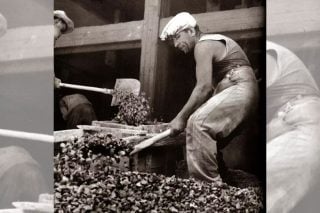 ergates 1965